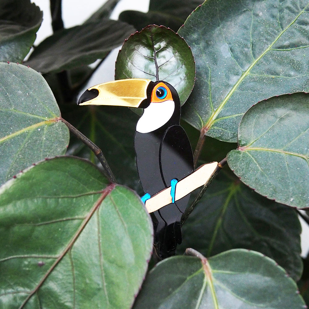 Toucan Brooch